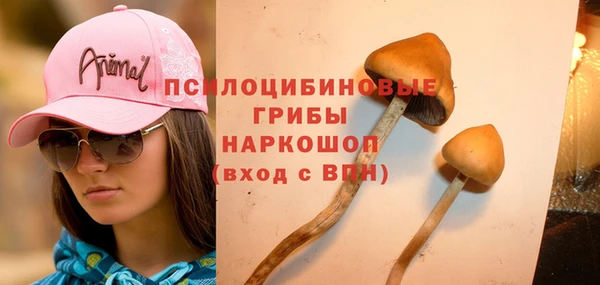 спиды Абинск
