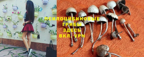 марихуана Абаза