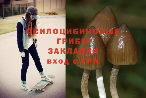 таблы Алзамай