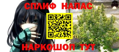 ПСИЛОЦИБИНОВЫЕ ГРИБЫ Коммунар