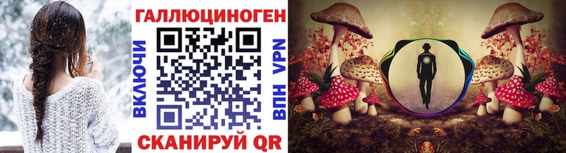 мега вход  как найти   Ишимбай  Псилоцибиновые грибы Psilocybine cubensis 